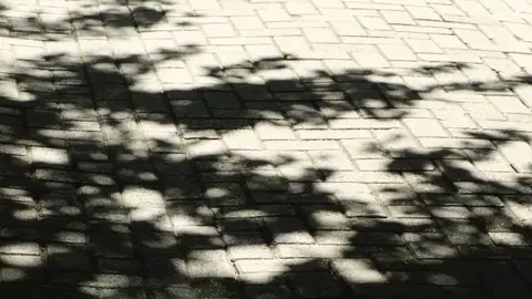 Sombras de árboles en la acera y dos personas caminando